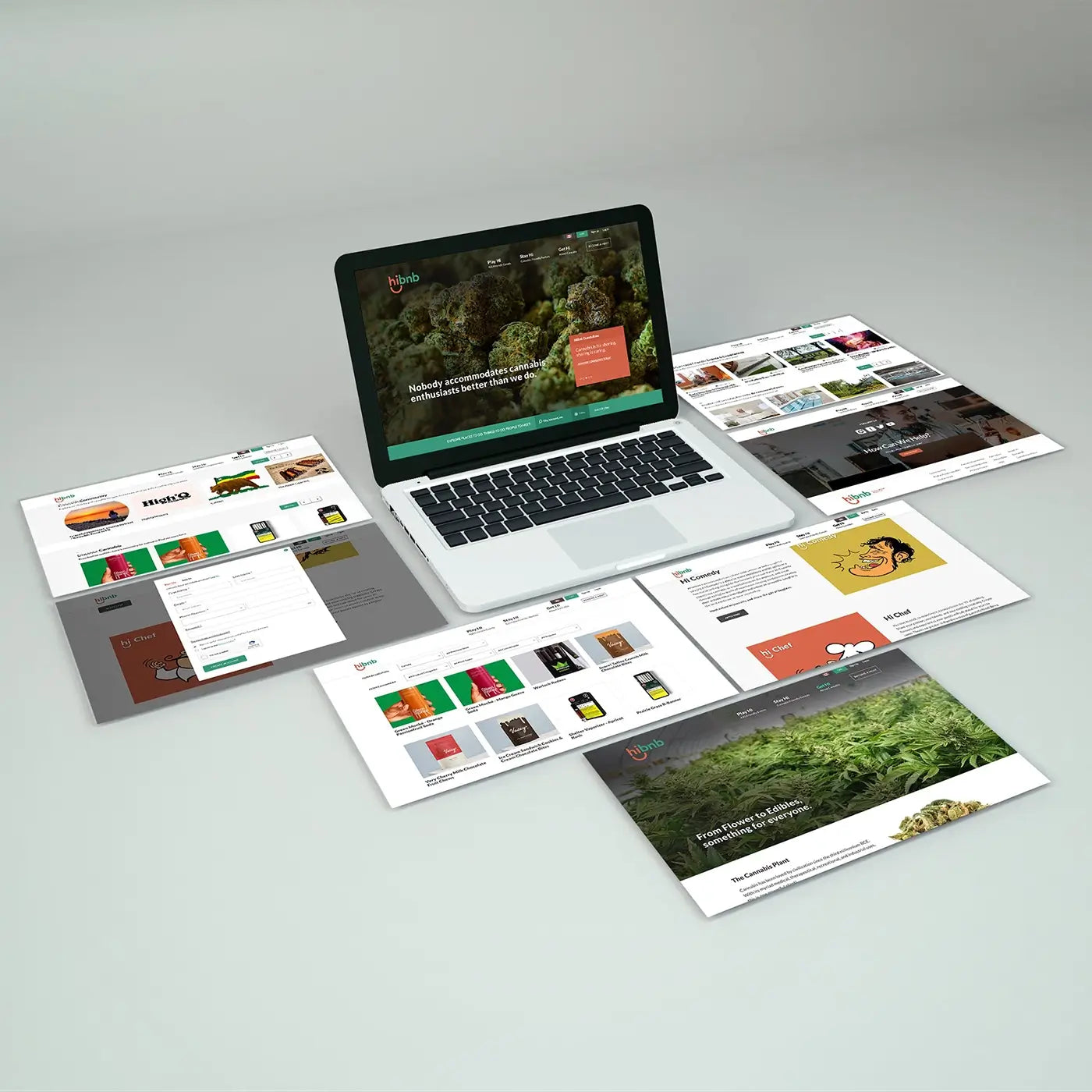 HiBnB Branding solutions and website design